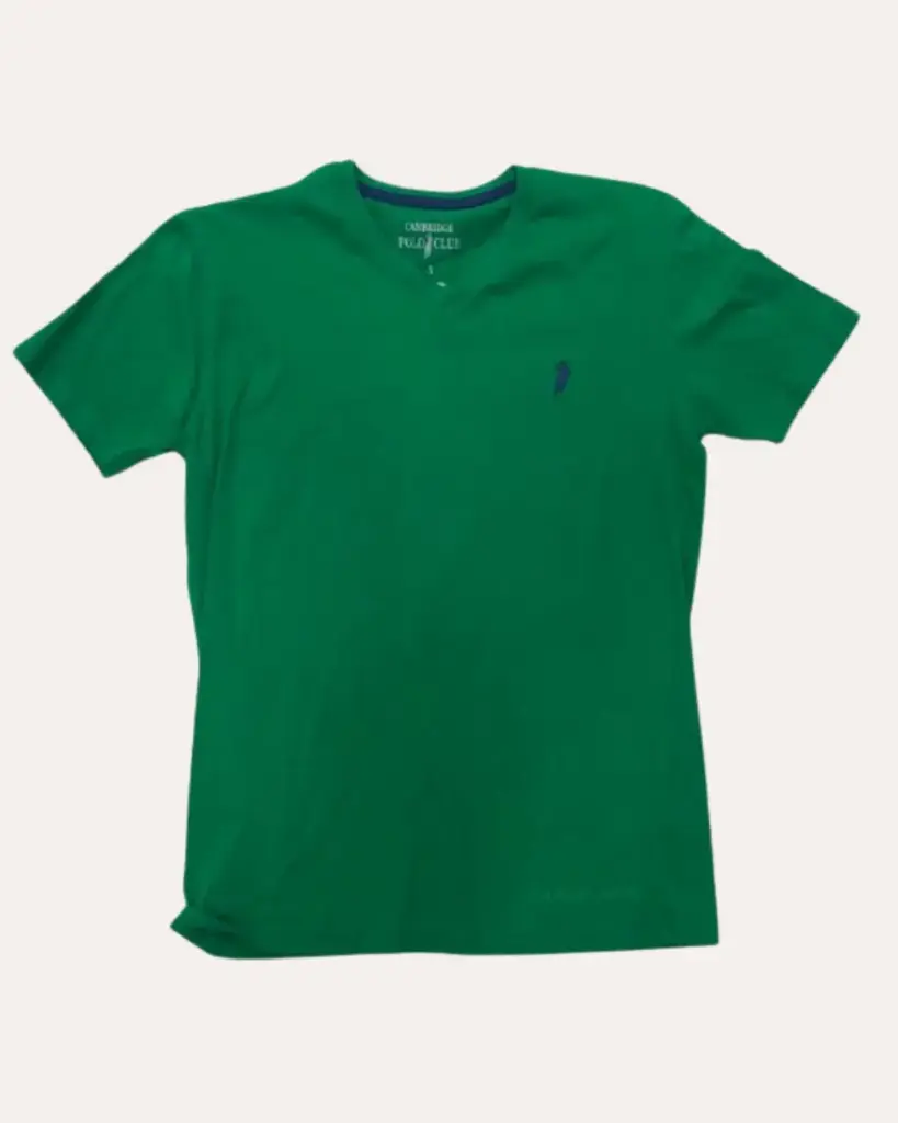 FRANELA VERDE POLO 
