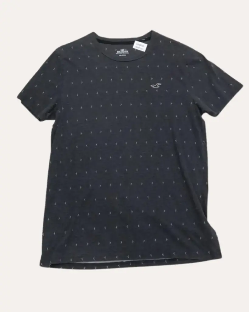 FRANELA GRIS HOLLISTER